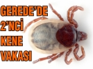 Endi�e art�yor