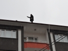 Son �areyi intihar etmekte buldu
