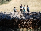 Ormanlar sa�lam ellerde