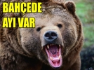 Bah�ede ay� var