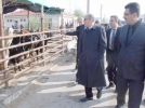 Vali hayvan pazar�n� gezdi