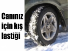 Can�n�z i�in k�� lasti�i