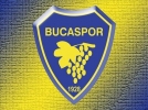 Buca Bolu�ya bileniyor