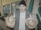 B�ylesi g�r�lmedi