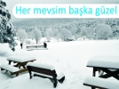 Muhte�em g�zellik