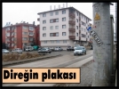 Dire�in plakas�