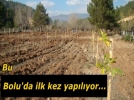Bolu' da bir ilk 