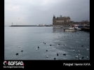 BOFSAD'da 14 Mart 2013 g�n�n foto�raf�