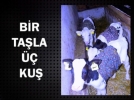 Bolu'da �a��rtan do�um   