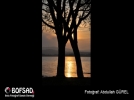 BOFSAD'da  g�n�n foto�raf�