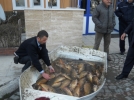 Ka�ak bal�k��lara polis bask�n�