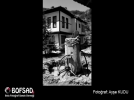 BOFSAD'da 19 Mart 2013 g�n�n foto�raf�