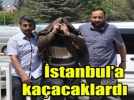 170 tane demir �ald�lar