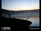 BOFSAD'da  g�n�n foto�raf�
