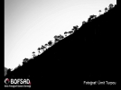BOFSAD'da 5 May�s 2013 g�n�n foto�raf�