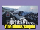 800 civciv yand�