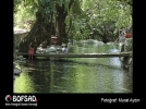 BOFSAD'da 13 May�s 2013 g�n�n foto�raf�