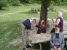 Jandarma karanfil da��tt�
