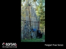 BOFSAD'da  g�n�n foto�raf�