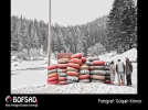 BOFSAD'da 16 May�s 2013 g�n�n foto�raf�