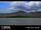 BOFSAD'da  g�n�n foto�raf�