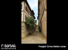 BOFSAD'da g�n�n foto�raf�