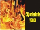 Y�ld�r�m orman yang�n� ��kard�