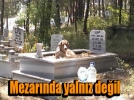 Vefal� dostlar� mezar�nda da yan�nda