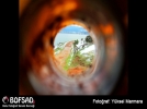 BOFSAD'da g�n�n foto�raf�