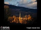 BOFSAD'da g�n�n foto�raf�
