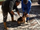 A��s�z hayvan kalmayacak