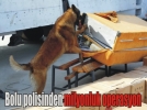 10 bin ka�ak cep telefonu