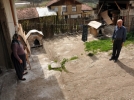 K�peklere sald�ran kurt kuduz ��kt�