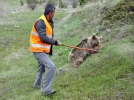 Yaral� bozay� i�in seferber oldular