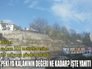 HARABE HAL�YLE BOLU�NUN EN DE�ERL� ARAZ�S�