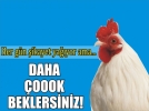 Koku sorununa ��z�m ufukta g�r�nm�yor!