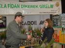 Bolu�da 3 bin fidan da��t�ld�