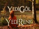 �7 G�L 7 RENK� V�ZYONDA