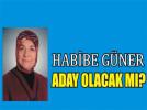Ak Parti�de herkes onu merak ediyor