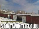 K�mesin �at�s� ��kt�!