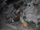 Devrilen a�a�lar G�lc�k yolunu ula��ma kapad�