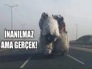 TEM Otoyolu�nda �rk�t�c� anlar