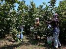 Onlar tar�msal �retimin kalbi