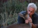 "Karacas�"n� geri istiyor