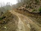 Orman yollar� onar�ld�