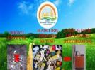 �la� kutusu getirene hediye