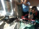 Yaral� kedi son anda kurtar�ld�