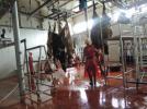 Veteriner hekimlere uygulamal� e�itim