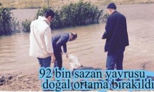 G�letlere 92 bin sazan