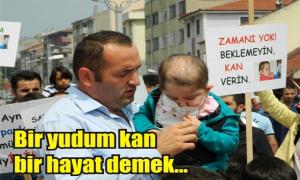�NSANLIK �LM��